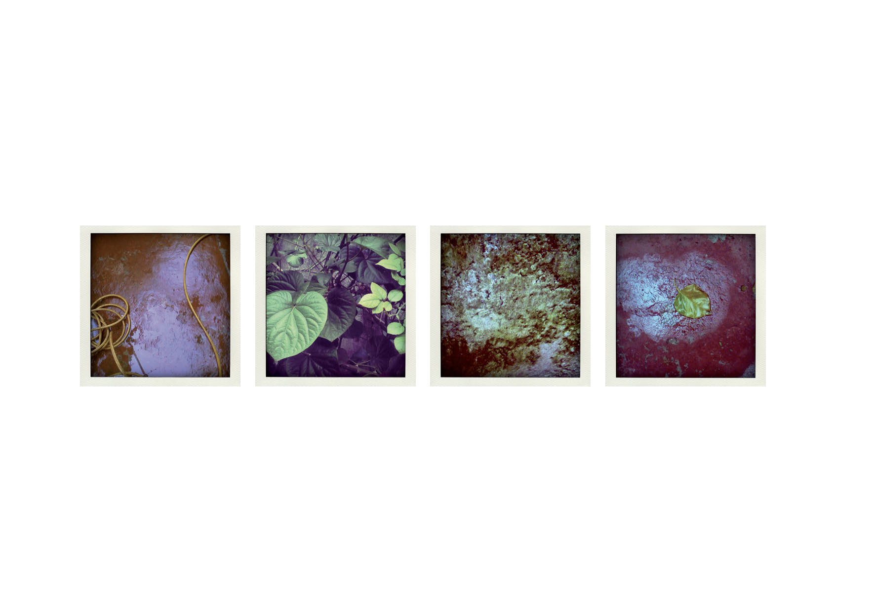 Un pequeño viaje de otro color