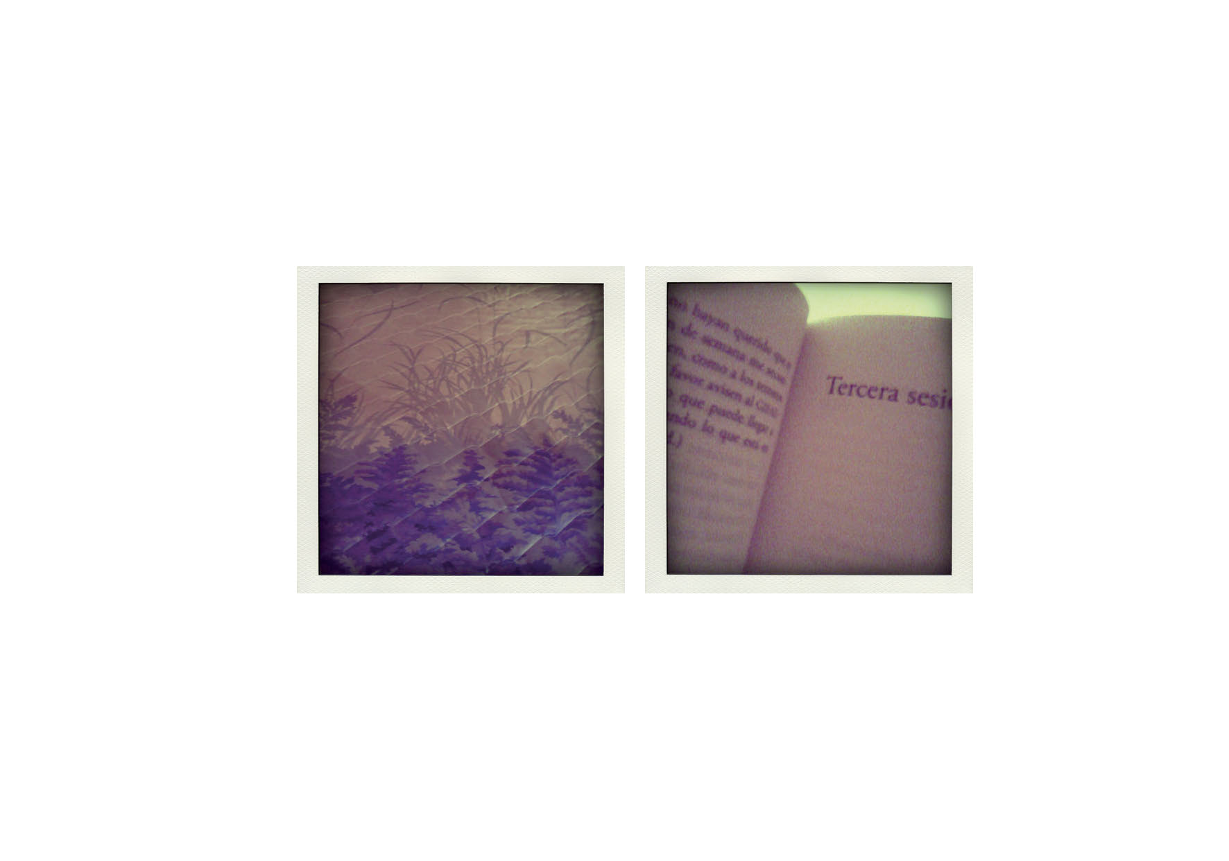 Un pequeño viaje de otro color